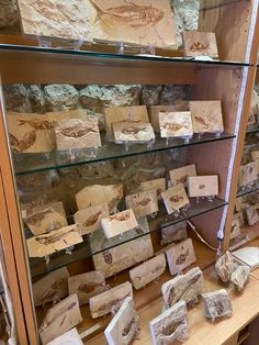 several different types of soaps on display in a glass case with wood and stone