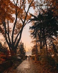 two people walking down a path in the fall with leaves on the ground and trees lining both sides