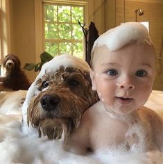 there is a baby and a dog in the bathtub with foam on it's head