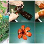 several pictures of flowers being cut and put in vases