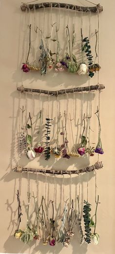 a wall hanging made out of branches with flowers and plants attached to the hooks on it