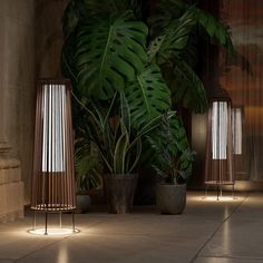 three different types of lights in front of a potted plant and some other plants