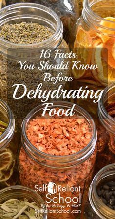 many jars filled with different types of food and the words, 16 foods you should know before dehydrating food