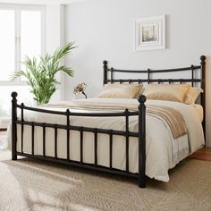 a bedroom with a bed, rug and potted plant