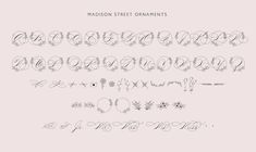 the font and numbers for madison street ornaments are drawn in black ink on a light pink background