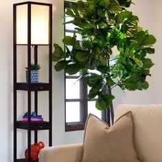 a living room filled with furniture and a potted plant on top of a shelf