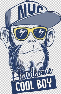 a monkey wearing sunglasses and a hat with the words cool boy on it