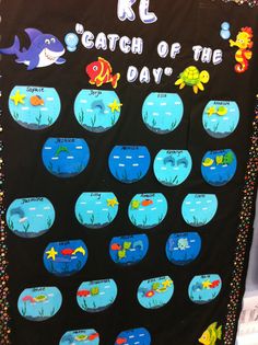 a bulletin board with fish and sea life on it's sides, along with the words catch of the day