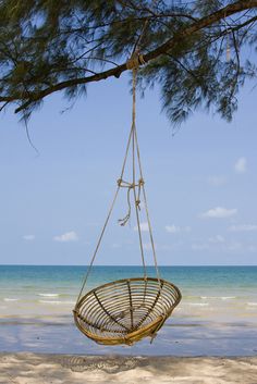 a hammock hanging from a tree on the beach with water in the background