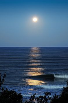 the moon is setting over the ocean with waves coming in to shore and trees on either side