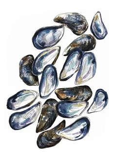 Natural Form Art, Japanese Watercolor, Mussel Shell, Watercolour Ink, Buy Paintings, Art Abstrait, Paintings For Sale