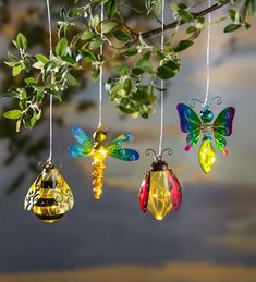 four glass ornaments hanging from a tree branch