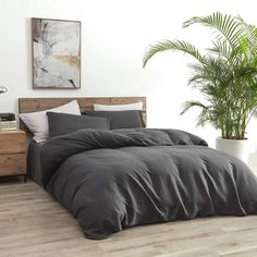 a large bed sitting next to a potted plant on top of a wooden floor