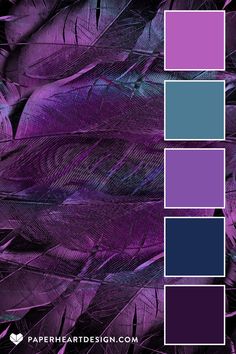 purple and blue color scheme with feathers