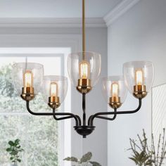 a chandelier with five lights hanging from it's center and four glass shades on the bottom