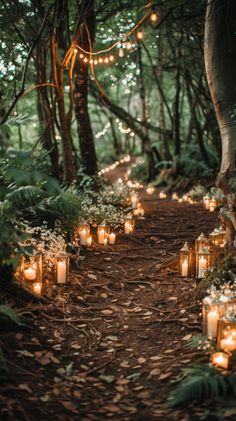 many lit candles are on the path in the woods