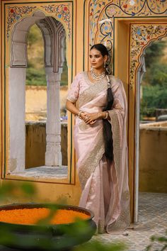 Shop powder pink embroidered tissue silk saree online in USA with blouse. Make a fashion statement at weddings with stunning designer sarees, embroidered sarees with blouse, wedding sarees, handloom sarees from Pure Elegance Indian fashion store in USA.-full view Tissue Silk Saree, Fashion Journals, Embroidered Border, Traditional Fabric, Silk Sari, Silk Sarees Online, Powder Pink, Handloom Saree, Sarees Online