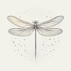 a drawing of a dragonfly with wings spread out and stars in the sky behind it