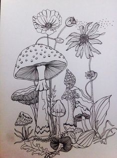 an ink drawing of mushrooms and flowers