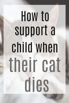 a cat sleeping on top of a bed with the words how to support a child when their cat dies