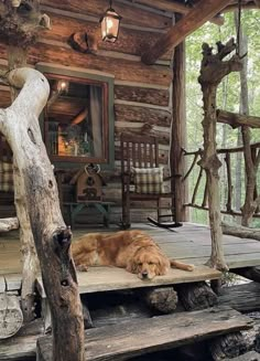 a large brown dog laying on top of a wooden platform in front of a log cabin