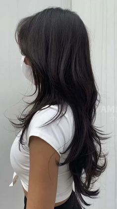 Hush Cut, V Cut Hair, Asian Long Hair, Korean Haircut, Haircut With Bangs, Long Wolfcut Haircut, Wolfcut Haircut