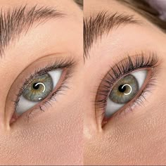 Natural Lash Lift And Tint, Lash Lift Aesthetic, Eye Lash Lift, Eyelash Lamination, Lash Lamination, Eye Lash Tattoo, Eyelash Lift And Tint