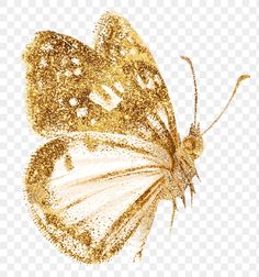 a golden butterfly with white wings and gold glitters on it's wings, transparent background