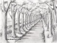 a pencil drawing of a tree lined path