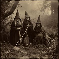 three witches sitting in the woods with brooms