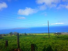 an open field with power lines and the ocean in the background