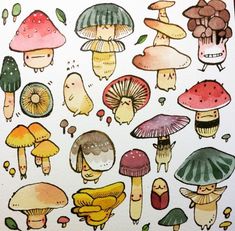 a drawing of many different types of mushrooms