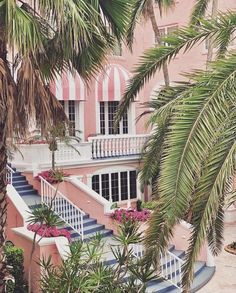 a pink house with palm trees and potted plants on the front steps, surrounded by greenery