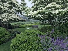 an image of a garden setting with flowers and trees in the foreground on a cloudy day