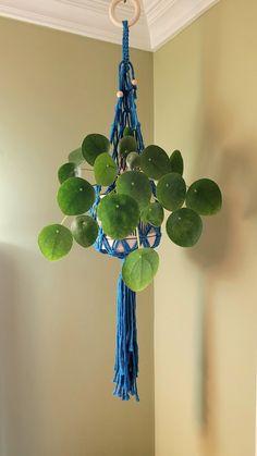 a green plant hanging from the ceiling with blue tassels on it's ends