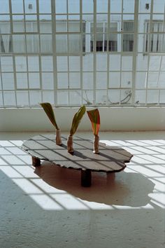 two flowers are placed on a table in front of a window with the sun shining through it