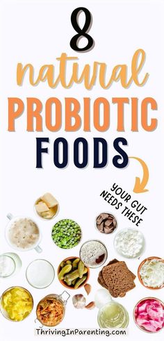 In this list, discover the best foods with probiotics that will not only strengthen your immune defenses but also improve your digestion and gut health! Explore foods with probiotics from homemade dishes to gut healthy fermented foods rich in micronutrients that are beneficial in boosting immunity. These foods for your gut health and foods for a healthy digestive system will help nourish your body and keep your immune and digestive system in top shape! Foods easy on the digestive system. Miso Tempeh, Prebiotic Foods, Fermented Milk, Probiotic Benefits, Healthy Probiotics, Nutrition Chart, Natural Probiotics, Nutrition Articles