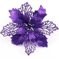 a purple flower on a white background