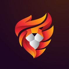 an abstract fire and ice logo on a dark background