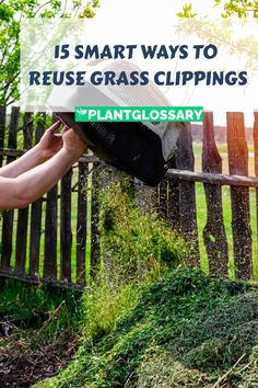 Instead of bagging up your grass clippings for disposal, consider the numerous ways they can benefit your garden and home. In this article, we will explore 15 excellent ways to use grass clippings, providing you with practical and eco-friendly ideas. From boosting your compost to mulching your garden beds and even creating natural fertilizers, discover how to make the most of your grass clippings and promote a healthier, more sustainable garden. Composting 101, Vertical Vegetable Gardens, Fall Garden Vegetables, Natural Fertilizer, Healthy Lawn, Ornamental Plants, Growing Indoors, Autumn Garden, Gardening For Beginners