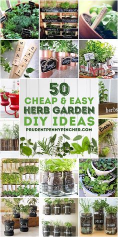 herb garden diy ideas that are easy and cheap