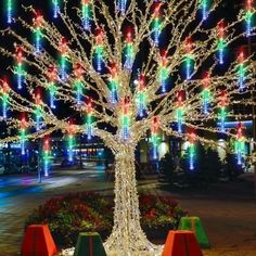 a lighted tree in the middle of a park with lights on it's branches