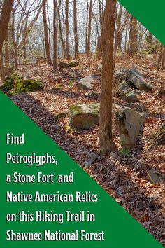 a forest filled with lots of trees covered in leaves and rocks next to a sign that says find petroglyphs, a stone fort and native american relics on this hiking trail