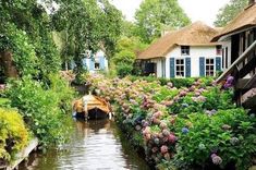 a boat is parked in the water near some flowers and houses with thatched roofs