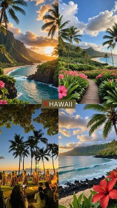 four pictures of hawaii with palm trees and flowers in the foreground, people walking on the beach at sunset