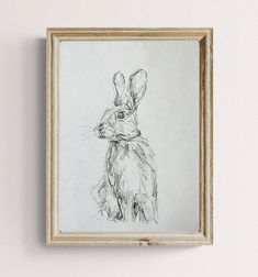 a black and white drawing of a rabbit in a frame on the wall above it