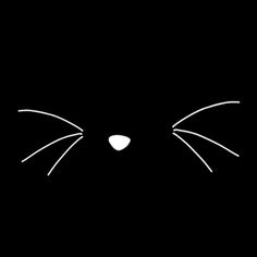 a black cat's face is shown with white lines in the shape of eyes