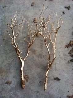 two branches that are sitting on the ground