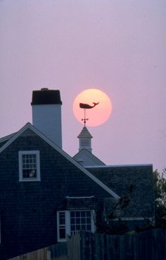 the sun is setting behind a house with a bird on it's roof and chimney