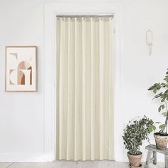 two potted plants sit in front of a sliding glass door with white curtains on it